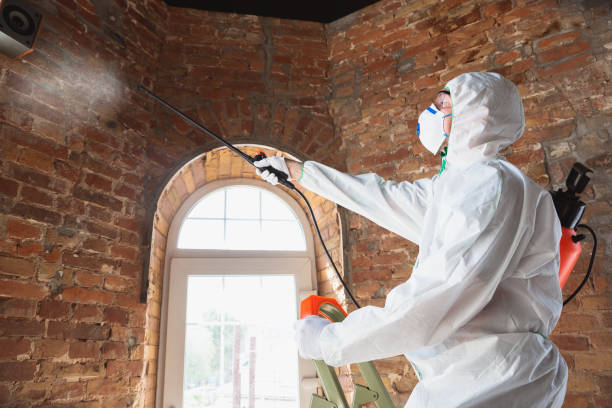 Mold Remediation for Rental Properties in Ironton, OH